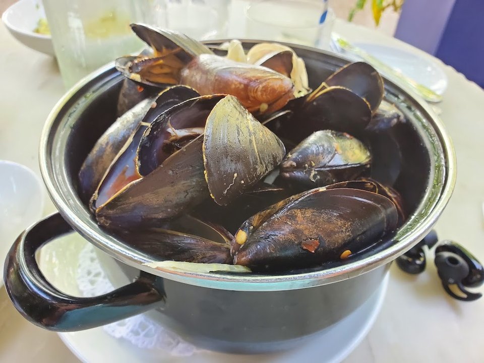 Mussels